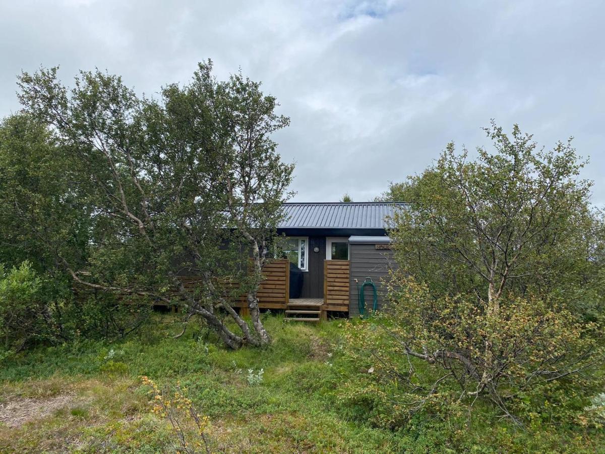 Cabin In The Lava. Near Husavik Skogar  Bagian luar foto
